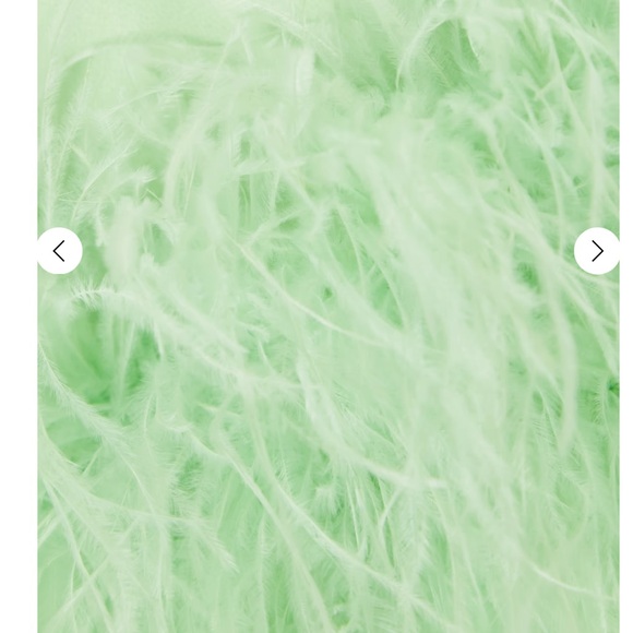 SAFIYAA Rowan strapless feather-trimmed crepe mini dress worn once - Picture 3 of 8